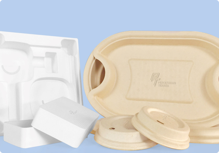Eco friendly Pulp Mold Packaging
